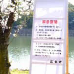 飲食は控えて短時間で!桜の満開を迎えた広島市でも花見の自粛要請