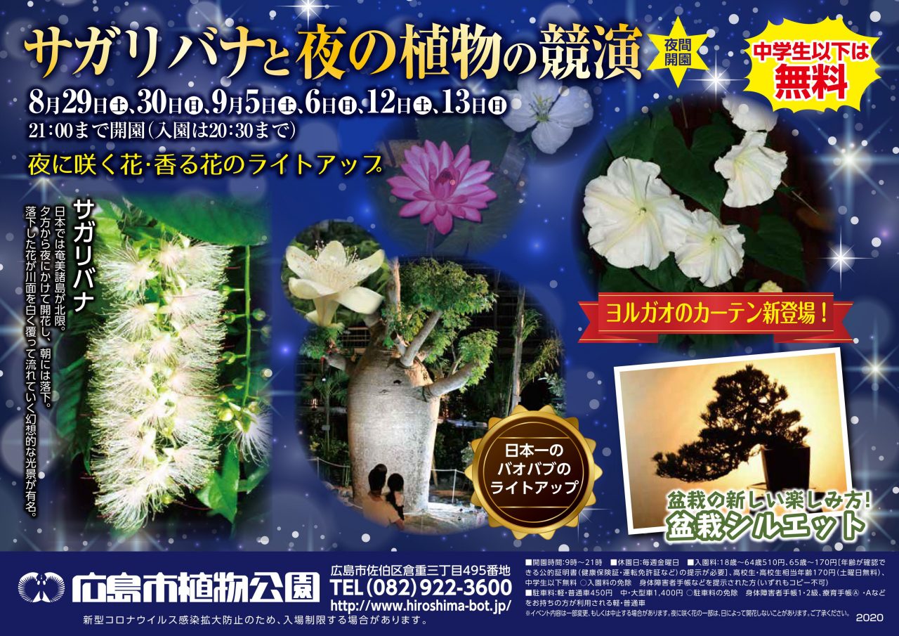 広島市植物公園で夜間開園 サガリバナと夜の植物の競演 開催 8 29 土 から