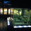魚や牡蠣について楽しく学べる「広島市水産振興センター」