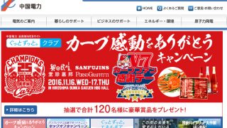 中国電力カープ