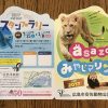 安佐動物公園と宮島水族館のコラボ企画「asa zoo＆みやじマリン コラボ2017」が開催中！