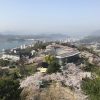 広島県尾道市にある「千光寺公園」は桜が見頃！尾道水道をバックに桜を楽しめます