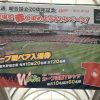 広島本通商店街で毎年恒例の「球場を赤く染めようキャンペーン！」実施中！
