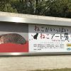 4/21(土)～6/24(日)ひろしま美術館で「ねこがいっぱい ねこアート展」開催！