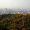 広島市東区にある「神田山」は手軽に登れて市内を一望！