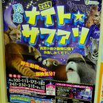 安佐動物公園で夏恒例の夜間開園「納涼 ナイト☆サファリ」が8/10～9/1までの土・日に開催！