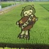 安芸高田市の「田んぼアート」は今が見頃！秋には稲刈りイベントも