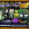 広島市植物公園で「花と光のページェント」開催！9/14(土)・15(日)・21(土)・22(日)