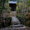 山奥の小さな池の中にある「福王寺 厳島神社」、静かな雰囲気が最高です！