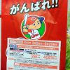 ゆめタウンやゆめマートで「がんばれ!!広島東洋カープ観戦チケットプレゼントキャンペーン」！