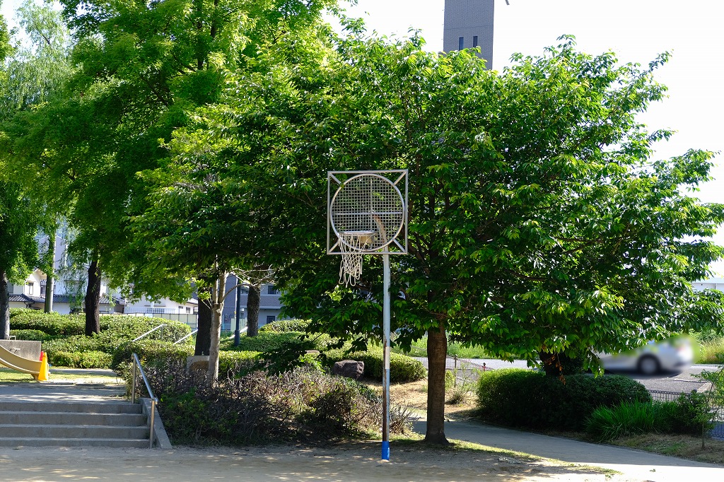 広島市近郊でバスケットゴールのある公園まとめ