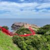 日本の最も美しい場所31選にも選出！海に向かって建ち並ぶ赤い鳥居が美しい「元乃隅神社」