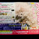 広島市植物公園で「さくらまつり」開催中！ゴールデンウィークは一部入園料無料