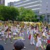 「2023ひろしまフラワーフェスティバル」本日6月10日開幕！4年ぶり通常開催