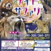 広島市安佐動物公園で「納涼 ナイト☆サファリ」開催中！9月3日（日）までの土・日