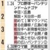 【広島東洋カープ】RCCテレビ縦読み